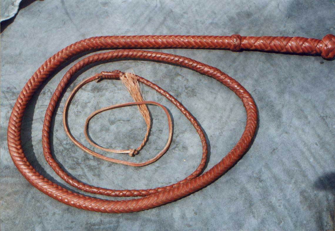 Australian Style Professional 8 Foot Long 12 Plait Cow Hide Leather Bull Whips 