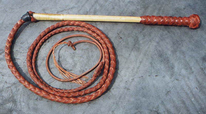 fall conditoner 5ft RedHide Stock Whip leather Stockwhip 6 crackers,free post